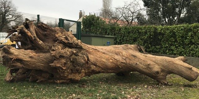 souche deco N°13 – C web grand